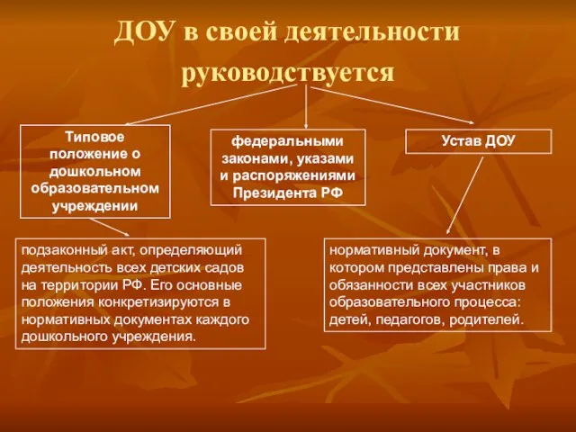 ДОУ в своей деятельности руководствуется федеральными законами, указами и распоряжениями Президента РФ