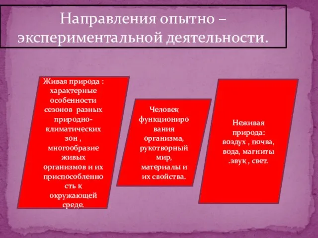 Направления опытно – экспериментальной деятельности. Живая природа :характерные особенности сезонов разных природно-