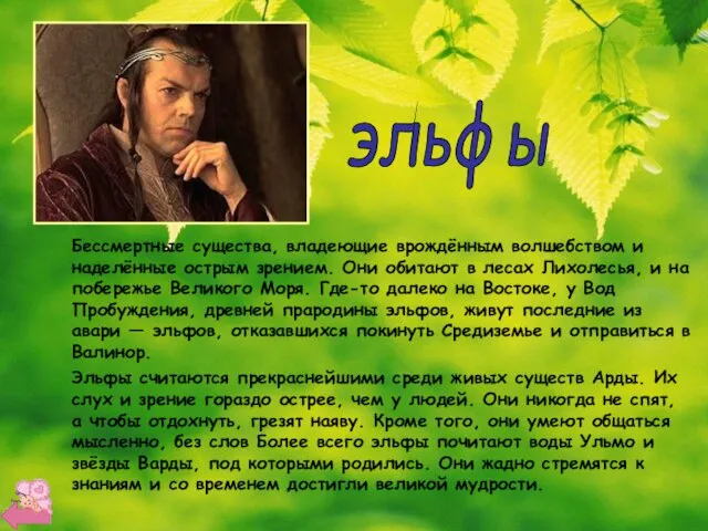 эльфы Бессмертные существа, владеющие врождённым волшебством и наделённые острым зрением. Они обитают