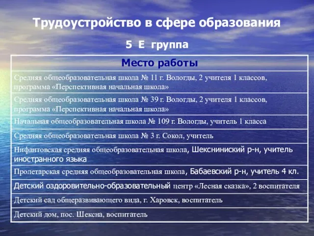 Трудоустройство в сфере образования 5 Е группа