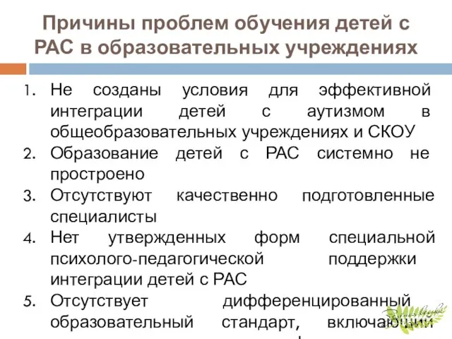 Причины проблем обучения детей с РАС в образовательных учреждениях Не созданы условия