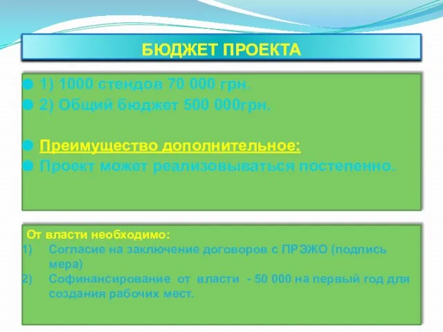 БЮДЖЕТ ПРОЕКТА 1) 1000 стендов 70 000 грн. 2) Общий бюджет 500