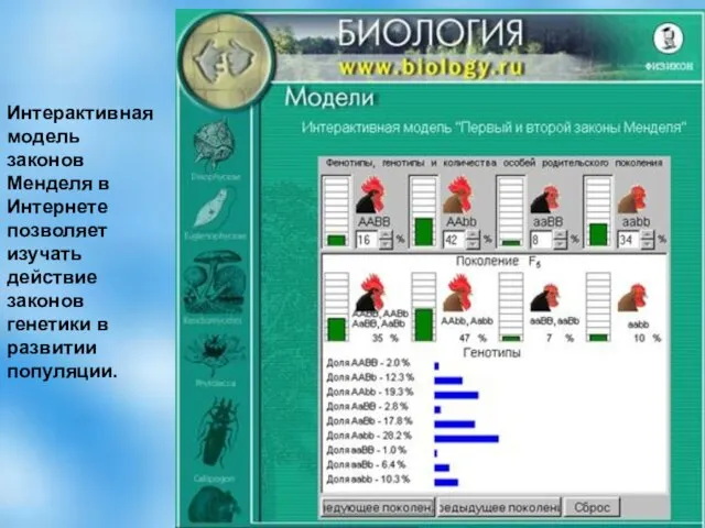 Интерактивная модель законов Менделя в Интернете позволяет изучать действие законов генетики в развитии популяции.