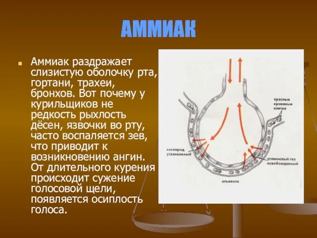 АММИАК Аммиак раздражает слизистую оболочку рта, гортани, трахеи, бронхов. Вот почему у