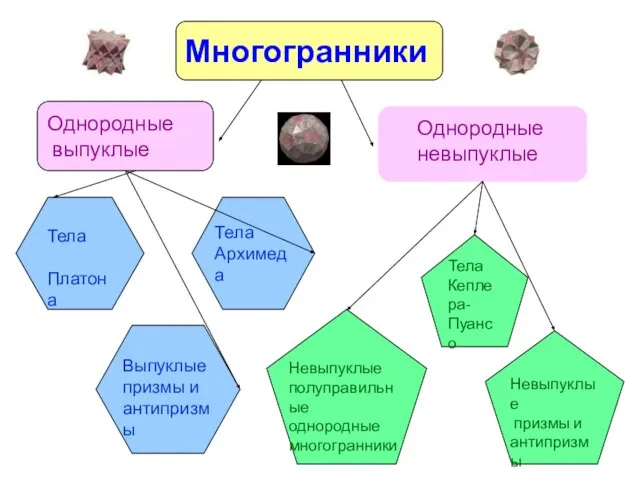 Многогранники Однородные выпуклые Однородные невыпуклые Тела Архимеда Тела Платона Выпуклые призмы и