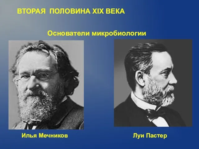 ВТОРАЯ ПОЛОВИНА XIX ВЕКА Основатели микробиологии Илья Мечников Луи Пастер