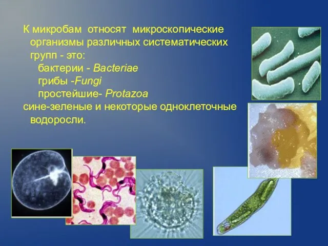 К микробам относят микроскопические организмы различных систематических групп - это: бактерии -