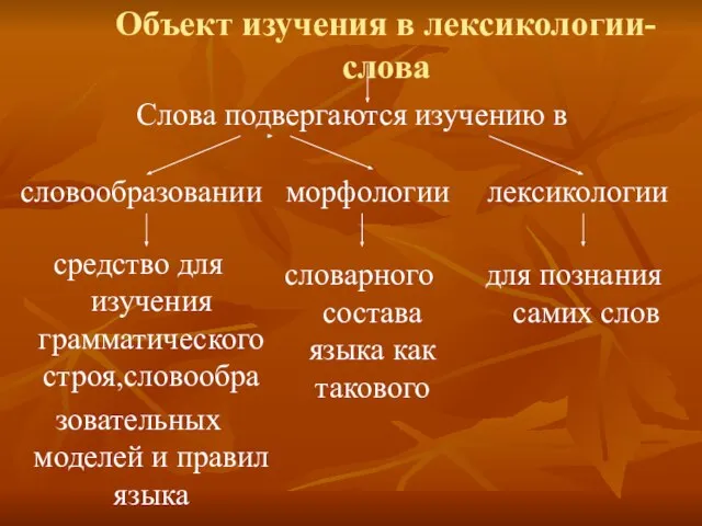 Объект изучения в лексикологии-слова Слова подвергаются изучению в морфологии лексикологии средство для