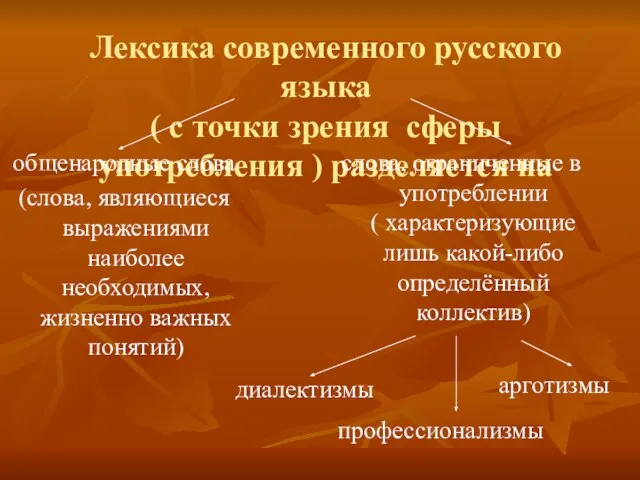 Лексика современного русского языка ( с точки зрения сферы употребления ) разделяется