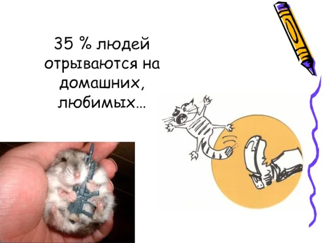 35 % людей отрываются на домашних, любимых…