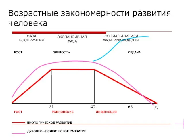 Возрастные закономерности развития человека