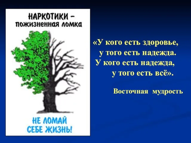 «У кого есть здоровье, у того есть надежда. У кого есть надежда,