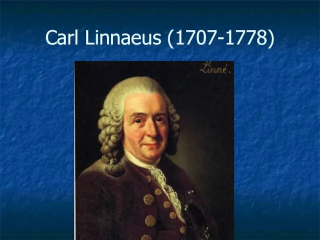Сarl Linnaeus (1707-1778)