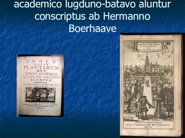 Index alter plantarum quae in horto academico lugduno-batavo aluntur conscriptus ab Hermanno Boerhaave