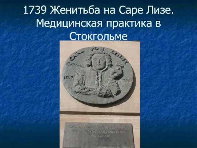 1739 Женитьба на Саре Лизе. Медицинская практика в Стокгольме