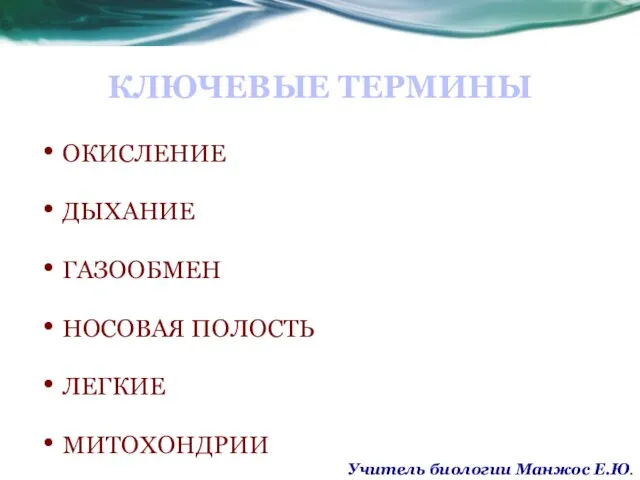 КЛЮЧЕВЫЕ ТЕРМИНЫ ОКИСЛЕНИЕ ДЫХАНИЕ ГАЗООБМЕН НОСОВАЯ ПОЛОСТЬ ЛЕГКИЕ МИТОХОНДРИИ Учитель биологии Манжос Е.Ю.