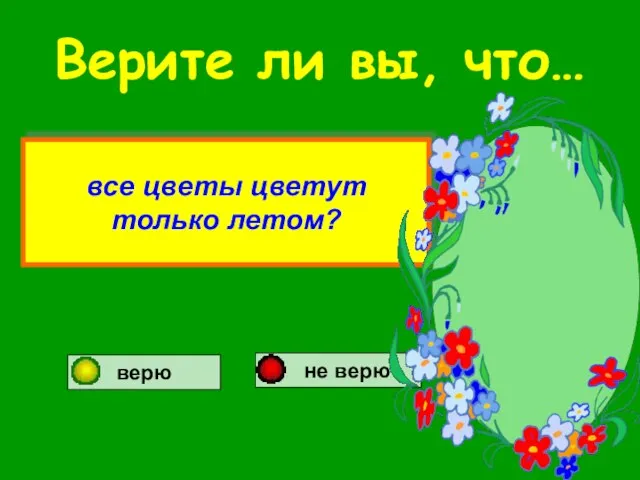 Верите ли вы, что… все цветы цветут только летом? верю не верю