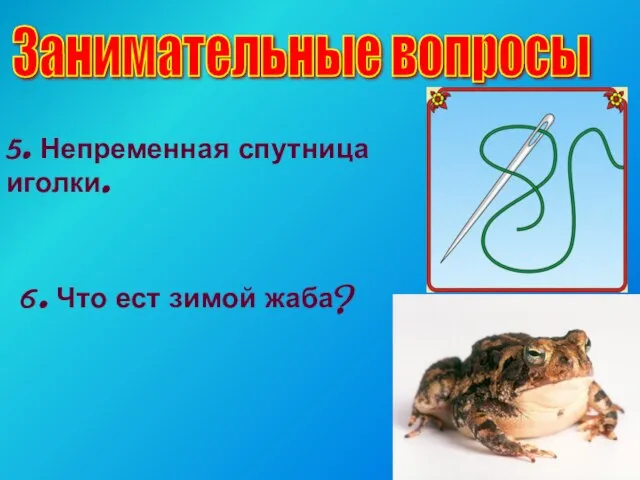 Занимательные вопросы 5. Непременная спутница иголки. 6. Что ест зимой жаба?