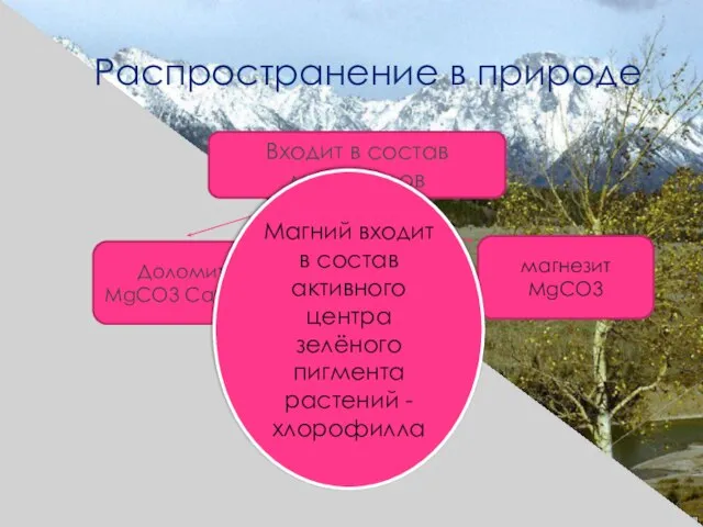 Распространение в природе Входит в состав минералов магнезит MgCO3 Доломит MgCO3 CaCO3