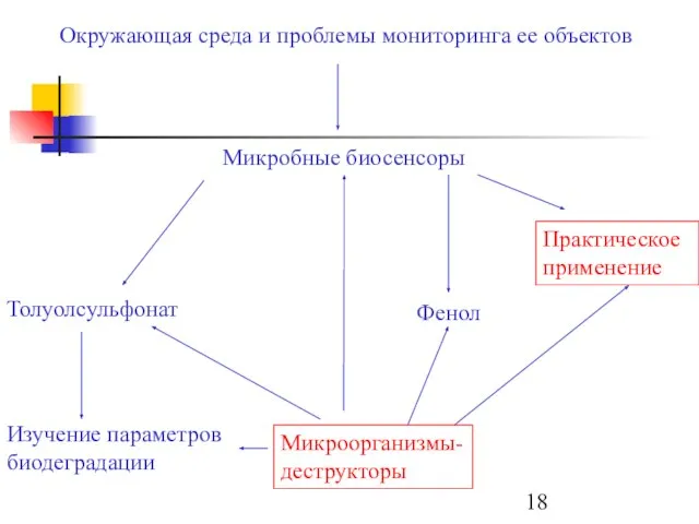 Окружающая среда и проблемы мониторинга ее объектов Микробные биосенсоры Толуолсульфонат Фенол Практическое