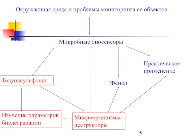 Окружающая среда и проблемы мониторинга ее объектов Микробные биосенсоры Фенол Микроорганизмы-деструкторы Толуолсульфонат