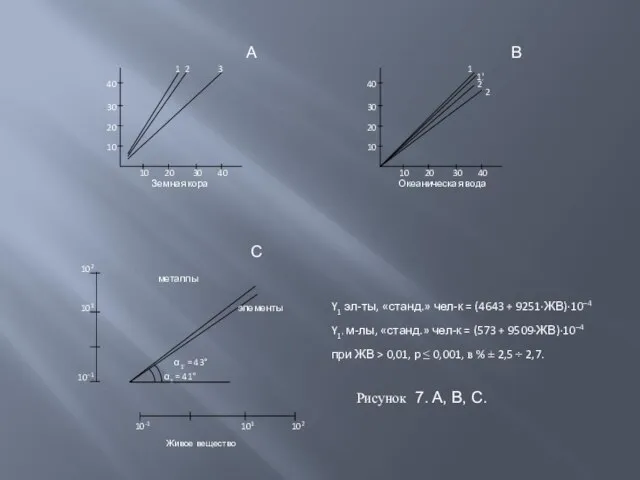 Живое вещество Рисунок 7. A, B, C. A B C