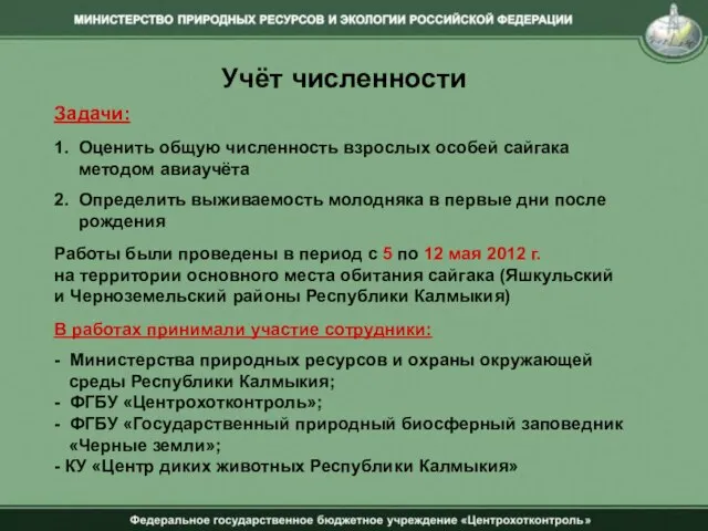 Учёт численности Задачи: 1. Оценить общую численность взрослых особей сайгака методом авиаучёта