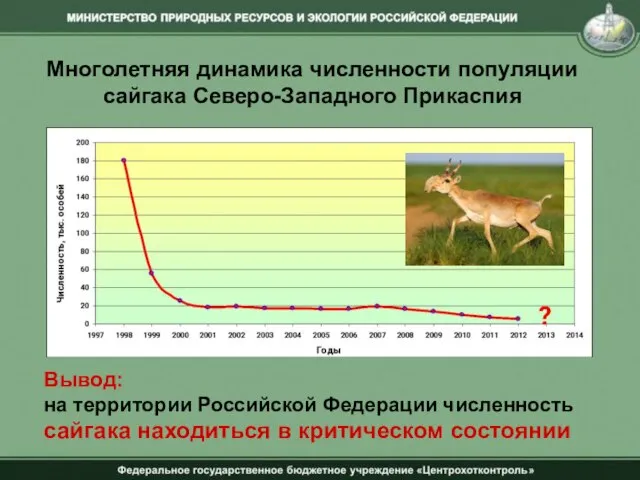 Многолетняя динамика численности популяции сайгака Северо-Западного Прикаспия Вывод: на территории Российской Федерации