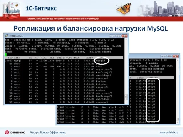 Репликация и балансировка нагрузки MySQL