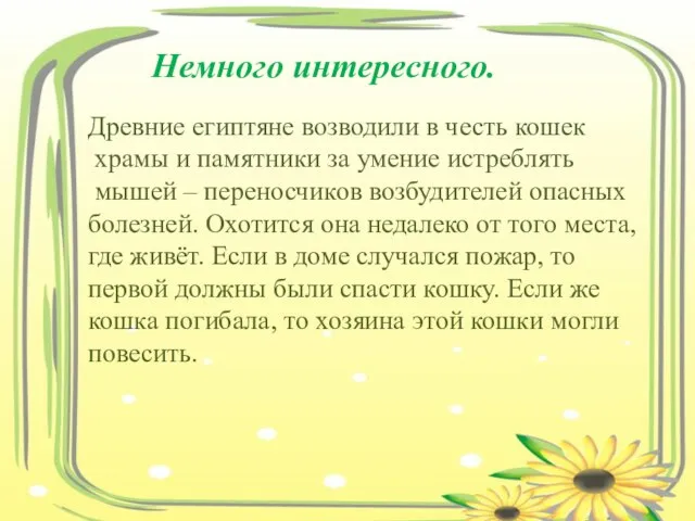 Немного интересного. Древние египтяне возводили в честь кошек храмы и памятники за