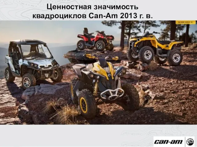 Ценностная значимость квадроциклов Can-Am 2013 г. в.