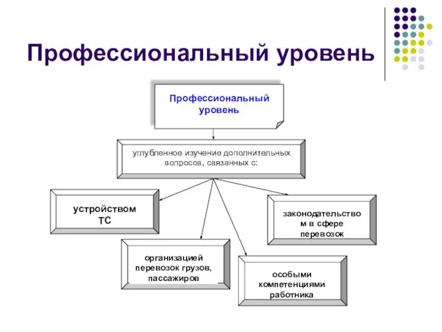 Профессиональный уровень устройством ТС Профессиональный уровень углубленное изучение дополнительных вопросов, связанных с: