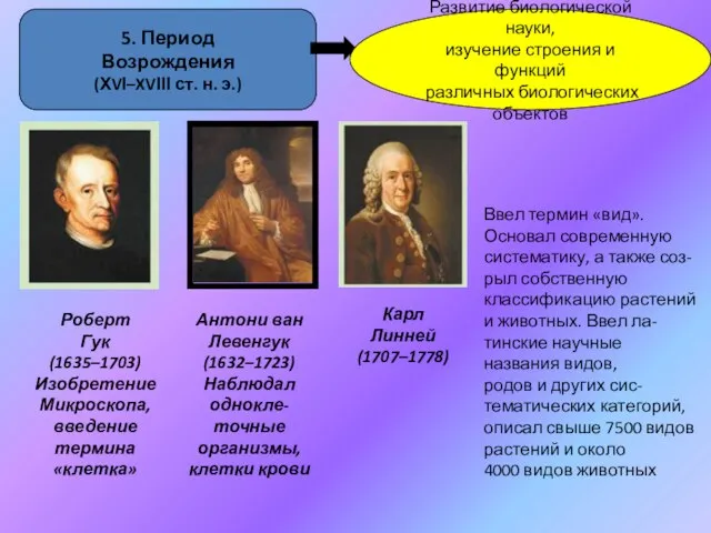 5. Период Возрождения (ХVІ–XVІІІ ст. н. э.) Развитие биологической науки, изучение строения