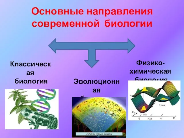 Основные направления современной биологии Классическая биология Эволюционная биология Физико-химическая биология