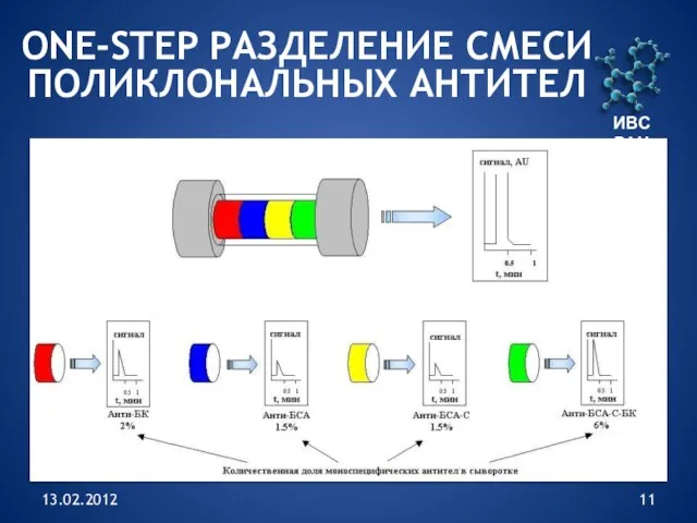 13.02.2012 ONE-STEP РАЗДЕЛЕНИЕ СМЕСИ ПОЛИКЛОНАЛЬНЫХ АНТИТЕЛ ИВС РАН