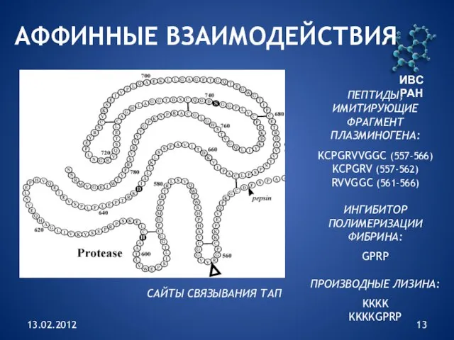 13.02.2012 ИВС РАН АФФИННЫЕ ВЗАИМОДЕЙСТВИЯ САЙТЫ СВЯЗЫВАНИЯ ТАП ПЕПТИДЫ, ИМИТИРУЮЩИЕ ФРАГМЕНТ ПЛАЗМИНОГЕНА: