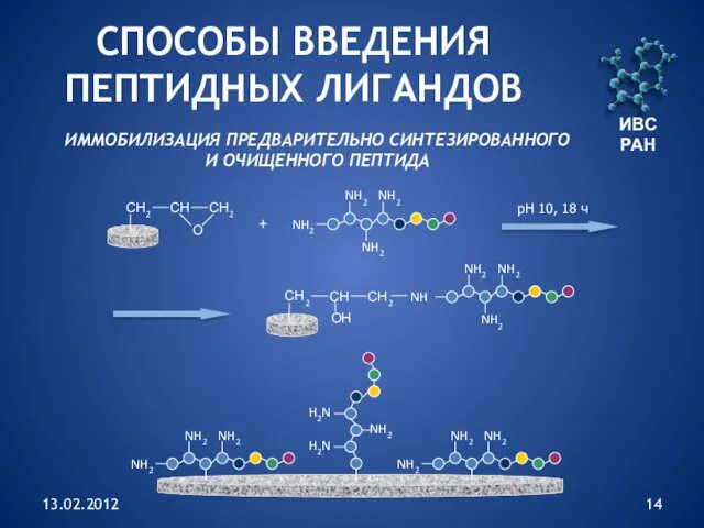 13.02.2012 СПОСОБЫ ВВЕДЕНИЯ ПЕПТИДНЫХ ЛИГАНДОВ ИММОБИЛИЗАЦИЯ ПРЕДВАРИТЕЛЬНО СИНТЕЗИРОВАННОГО И ОЧИЩЕННОГО ПЕПТИДА ИВС РАН