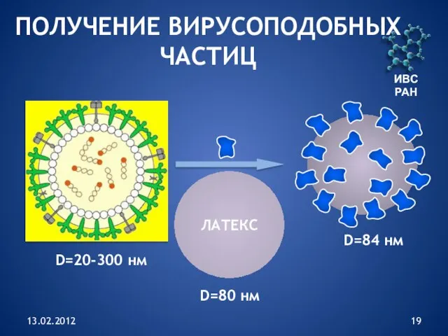 13.02.2012 ИВС РАН ПОЛУЧЕНИЕ ВИРУСОПОДОБНЫХ ЧАСТИЦ ЛАТЕКС D=80 нм D=20-300 нм