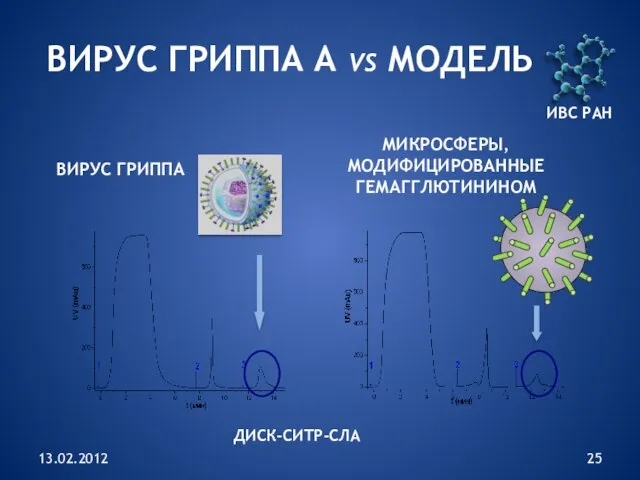 13.02.2012 ВИРУС ГРИППА А VS МОДЕЛЬ ДИСК-СИТР-СЛА ИВС РАН