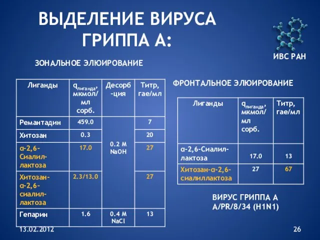 13.02.2012 ВЫДЕЛЕНИЕ ВИРУСА ГРИППА А: ЗОНАЛЬНОЕ ЭЛЮИРОВАНИЕ ФРОНТАЛЬНОЕ ЭЛЮИРОВАНИЕ ВИРУС ГРИППА А А/PR/8/34 (H1N1) ИВС РАН