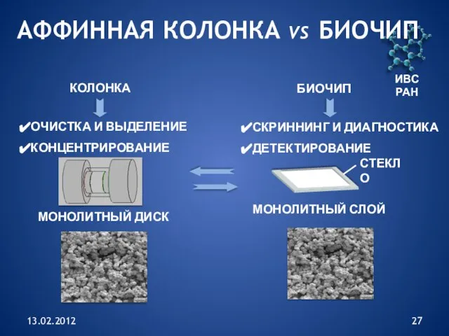 13.02.2012 ИВС РАН АФФИННАЯ КОЛОНКА VS БИОЧИП БИОЧИП ОЧИСТКА И ВЫДЕЛЕНИЕ КОНЦЕНТРИРОВАНИЕ