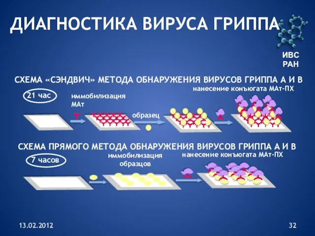 13.02.2012 ИВС РАН СХЕМА «СЭНДВИЧ» МЕТОДА ОБНАРУЖЕНИЯ ВИРУСОВ ГРИППА А И В