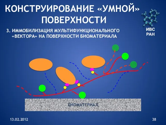 13.02.2012 ИВС РАН БИОМАТЕРИАЛ КОНСТРУИРОВАНИЕ «УМНОЙ» ПОВЕРХНОСТИ 3. ИММОБИЛИЗАЦИЯ МУЛЬТИФУНКЦИОНАЛЬНОГО «ВЕКТОРА» НА ПОВЕРХНОСТИ БИОМАТЕРИАЛА