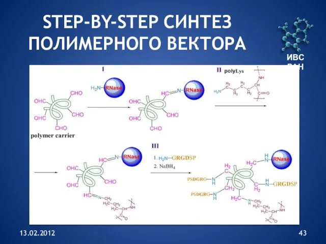 13.02.2012 ИВС РАН STEP-BY-STEP СИНТЕЗ ПОЛИМЕРНОГО ВЕКТОРА