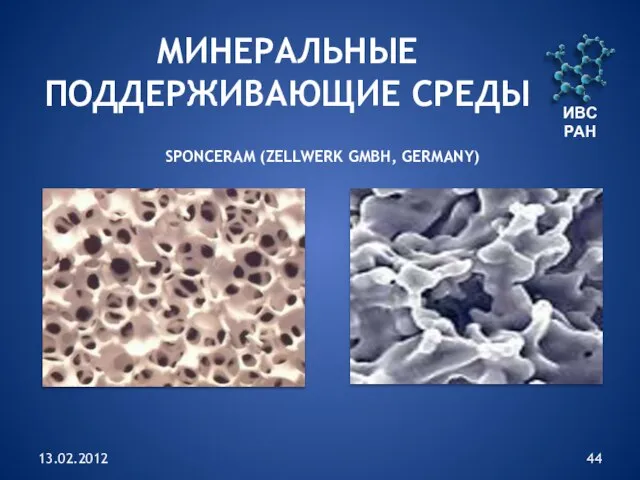 13.02.2012 ИВС РАН МИНЕРАЛЬНЫЕ ПОДДЕРЖИВАЮЩИЕ СРЕДЫ SPONCERAM (ZELLWERK GMBH, GERMANY)