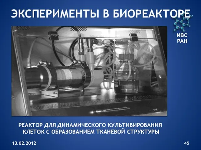 13.02.2012 ИВС РАН ЭКСПЕРИМЕНТЫ В БИОРЕАКТОРЕ РЕАКТОР ДЛЯ ДИНАМИЧЕСКОГО КУЛЬТИВИРОВАНИЯ КЛЕТОК С ОБРАЗОВАНИЕМ ТКАНЕВОЙ СТРУКТУРЫ