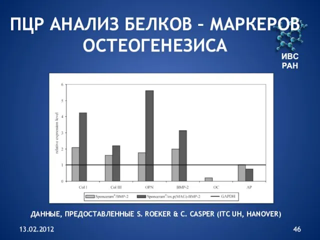 ИВС РАН 13.02.2012 ПЦР АНАЛИЗ БЕЛКОВ – МАРКЕРОВ ОСТЕОГЕНЕЗИСА ДАННЫЕ, ПРЕДОСТАВЛЕННЫЕ S.