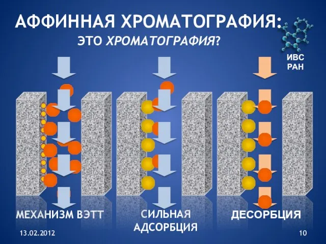 13.02.2012 ИВС РАН АФФИННАЯ ХРОМАТОГРАФИЯ: ЭТО ХРОМАТОГРАФИЯ? МЕХАНИЗМ ВЭТТ СИЛЬНАЯ АДСОРБЦИЯ ДЕСОРБЦИЯ