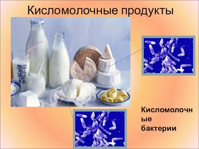 Кисломолочные продукты Кисломолочные бактерии
