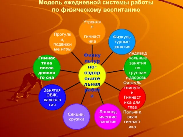 Модель ежедневной системы работы по физическому воспитанию